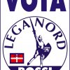I Manifesti Lega Nord - 2010